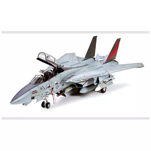 Grumman F-14A Tomcat - Tamiya 60313 - 1/32