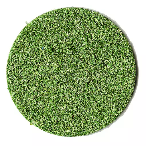 Segatura verde chiaro 40 grammi