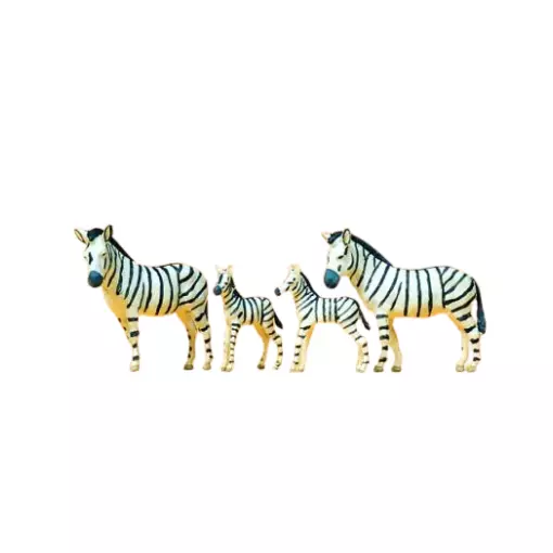 Zebra's