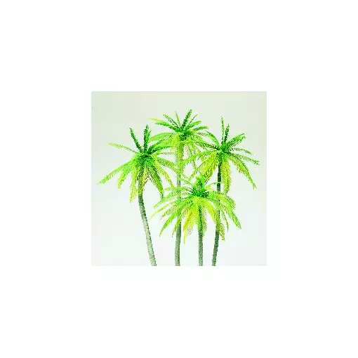4 palmiers
