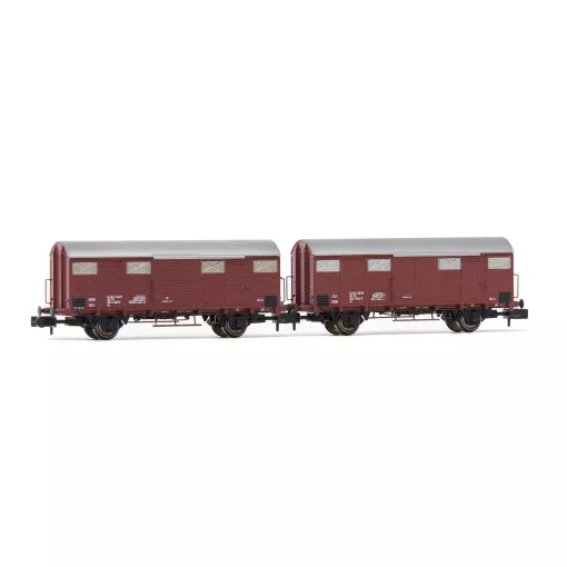 Coffret de 2 wagons couverts Gs - Arnold HN6574 - N 1/160 - FS - EP IV