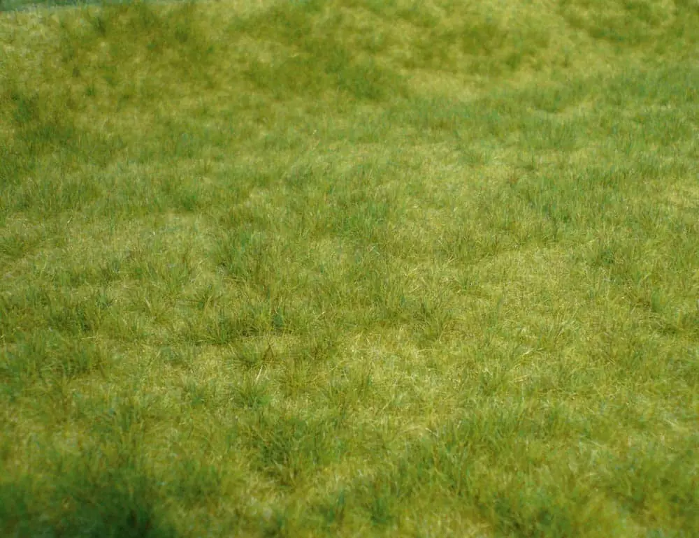 Tapis d'herbe de prairie vert moyen 200x230 mm NOCH 07291 - Toutes échelles