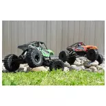 Pirate Swinger Crawler RC électrique - T2M T4942OR - 1/10 