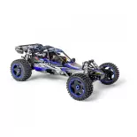 Buggy Wild GP Attack 2.4G 100% RTR - Bleu - Carson 500304033 - 1/5