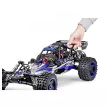 Buggy Wild GP Attack 2.4G 100% RTR - Bleu - Carson 500304033 - 1/5