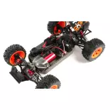 RACING BUGGY - PIRATE XT-C - T2M T4972B - 1/10 - 4X4 - ELECTRIQUE