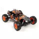 RACING BUGGY - PIRATE XT-C - T2M T4972B - 1/10 - 4X4 - ELECTRIQUE