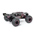 Buggy Offroad Fighter Käfig Rouge - Carson 500404255- 1/10