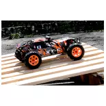 RACING BUGGY - PIRATE XT-C - T2M T4972B - 1/10 - 4X4 - ELECTRIQUE