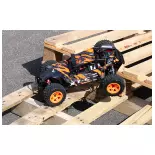 RACING BUGGY - PIRATE XT-C - T2M T4972B - 1/10 - 4X4 - ELECTRIQUE