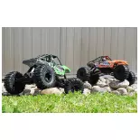 Crawler électrique - Pirate Swinger RTR - T2M T4942GR - 1/10 - 2.4 Ghz