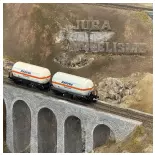 Set di 2 carri cisterna Zgkk a 2 assi con tetto apribile, "REPSOL Butano" - Electrotren HE6066 - HO 1/87 - RENFE - Ep IV - 2R