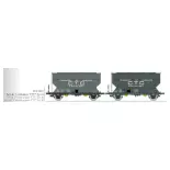 Set de 2 wagons céréaliers FAUVET-GIREL « CTC » - Ree Modèles WB887 - HO 1/87 - SNCF - Ep III - 2R